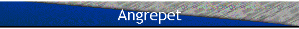 Angrepet