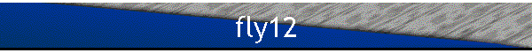 fly12